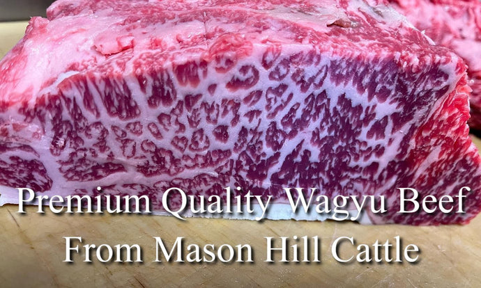 Premium Quality Wagyu Beef from Mason Hill Cattle. The best steaks you've ever tasted!