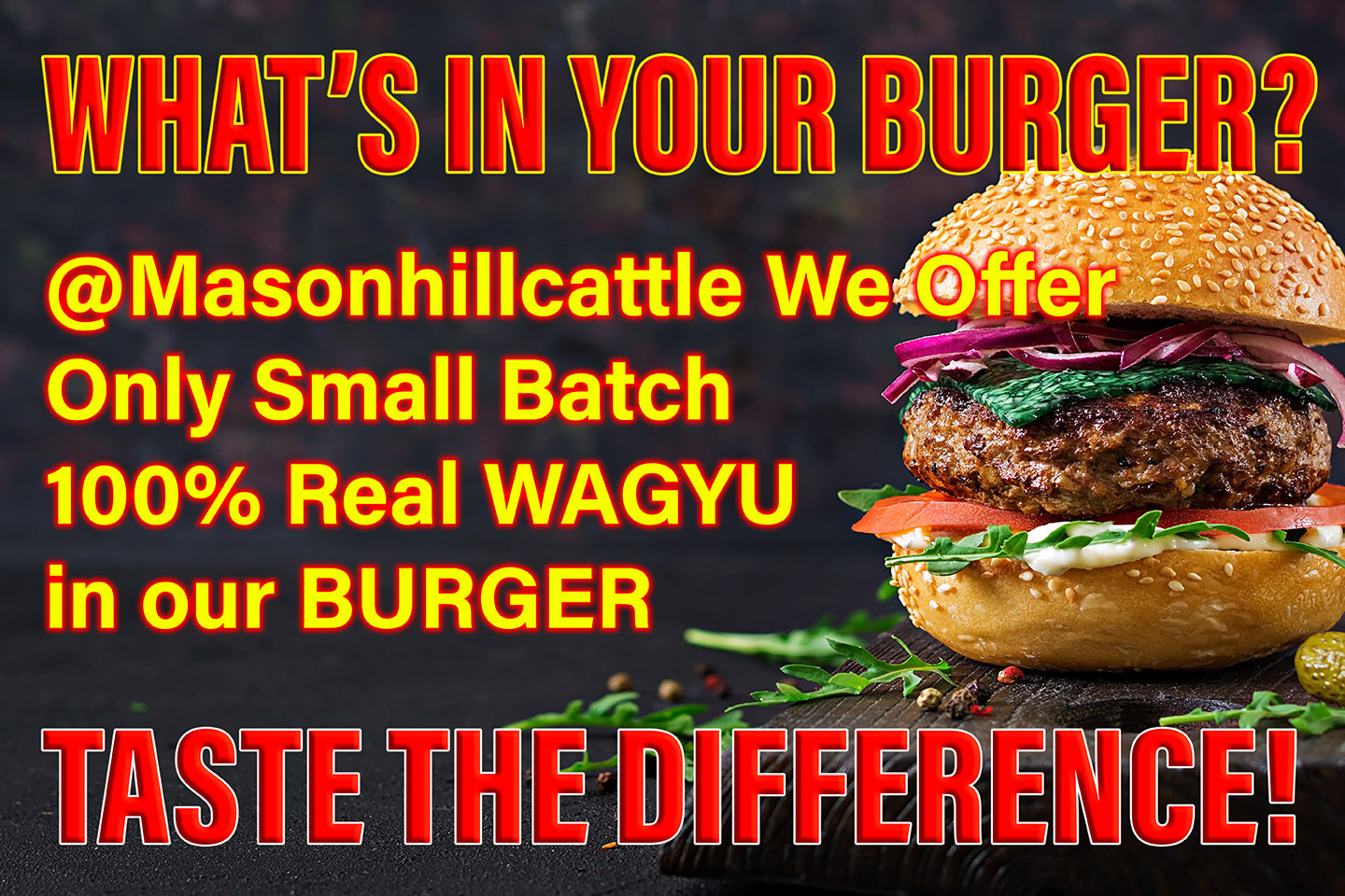 What's in Your Burger? – Mason Hill Cattle, image size:1440x960
