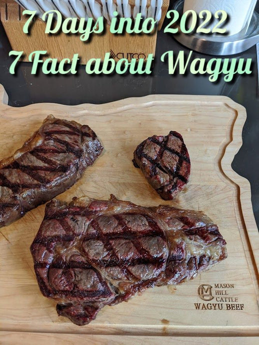 A Healthy New You with Masonhill Cattle's WAGYU (01.07.2022  Newsletter)