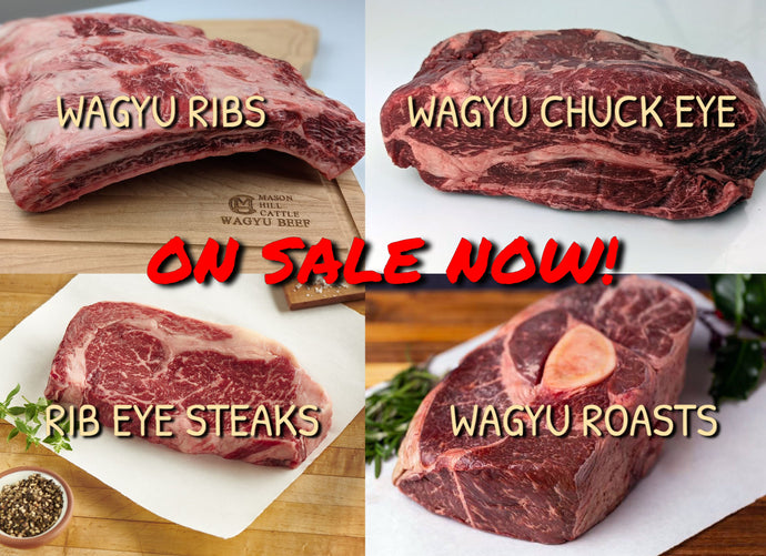 On Sale Now! Wagyu Beef Ribs, Wagyu Ribeye Steaks, Wagyu Chuck Eye Roasts, + more Delicious Wagyu Goodness!  All On Sale Now! (NEWSLETTER SENT 3.03.2022