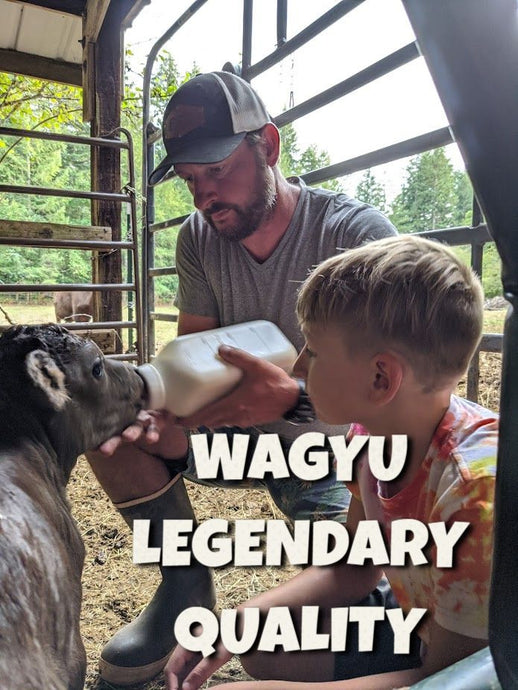 Wagyu Beef's Legendary Marbling & Quality