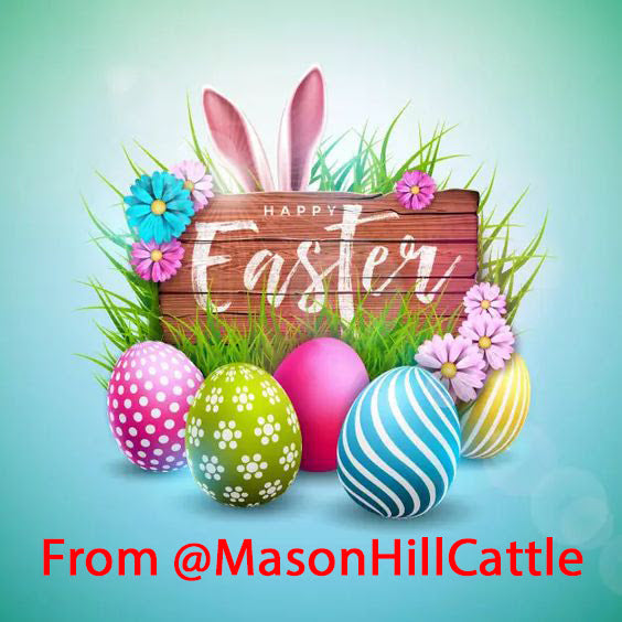Happy Easter from Mason Hill Cattle